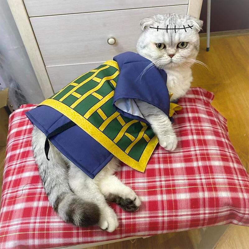 Jujutsu Kaisen Suguru Geto Pet Cosplay for Cats & Dogs - AnimeGo Store