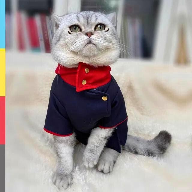 Jujutsu Kaisen Yuji Itadori Pet Cosplay for Cats & Dogs - AnimeGo Store